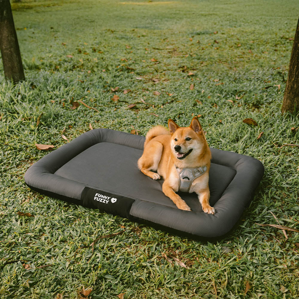 Outdoor Waterproof & Scratch-Resistant Colour-Blocked Orthopaedic Dog Mat - Trek Lounge