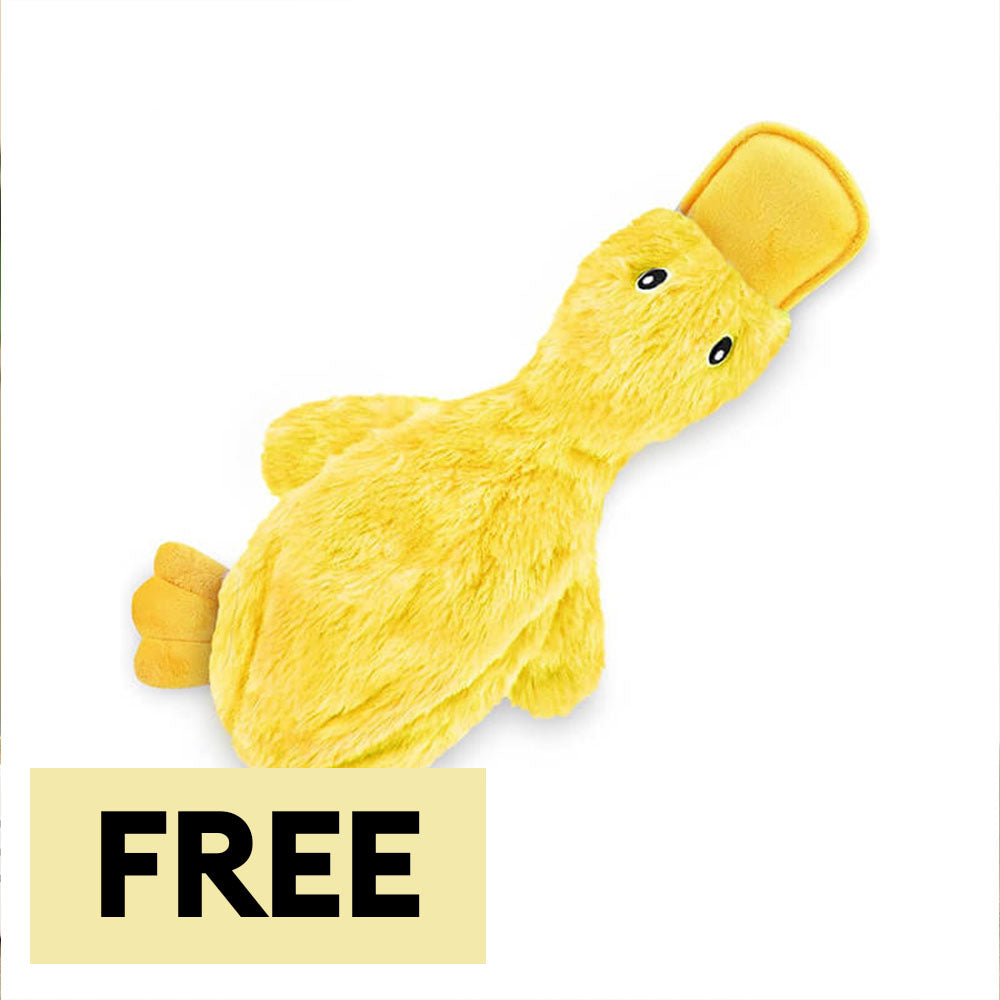 Cute Duck Plush Toy With Squeaker Dog Chew Toy-Limited Quantity