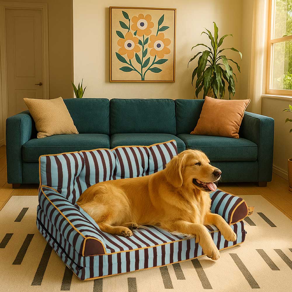 Stripe Waterproof Foldable Dog Sofa Bed - Sunny Siesta