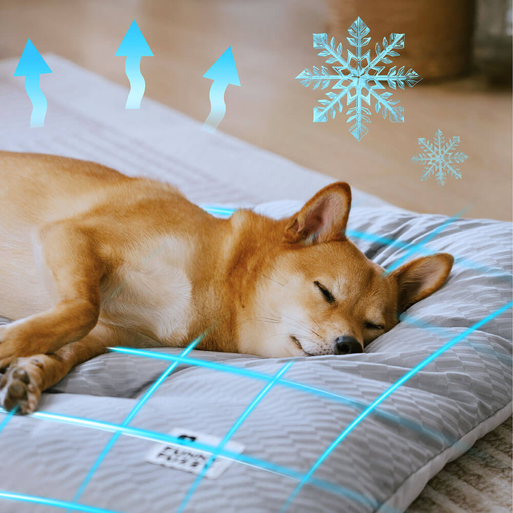 Dual-Sided Cosy Plush Calming Washable Dog Mats