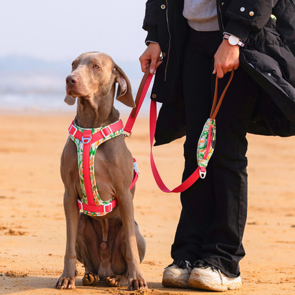 Secure Anti-Pull Large Dog Harness and Lead Walking Set with Walk Bag