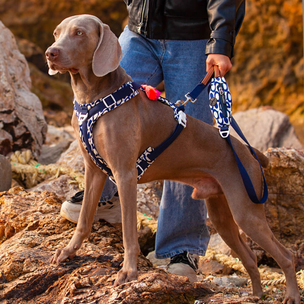 Secure Anti-Pull Large Dog Harness and Lead Walking Set with Walk Bag