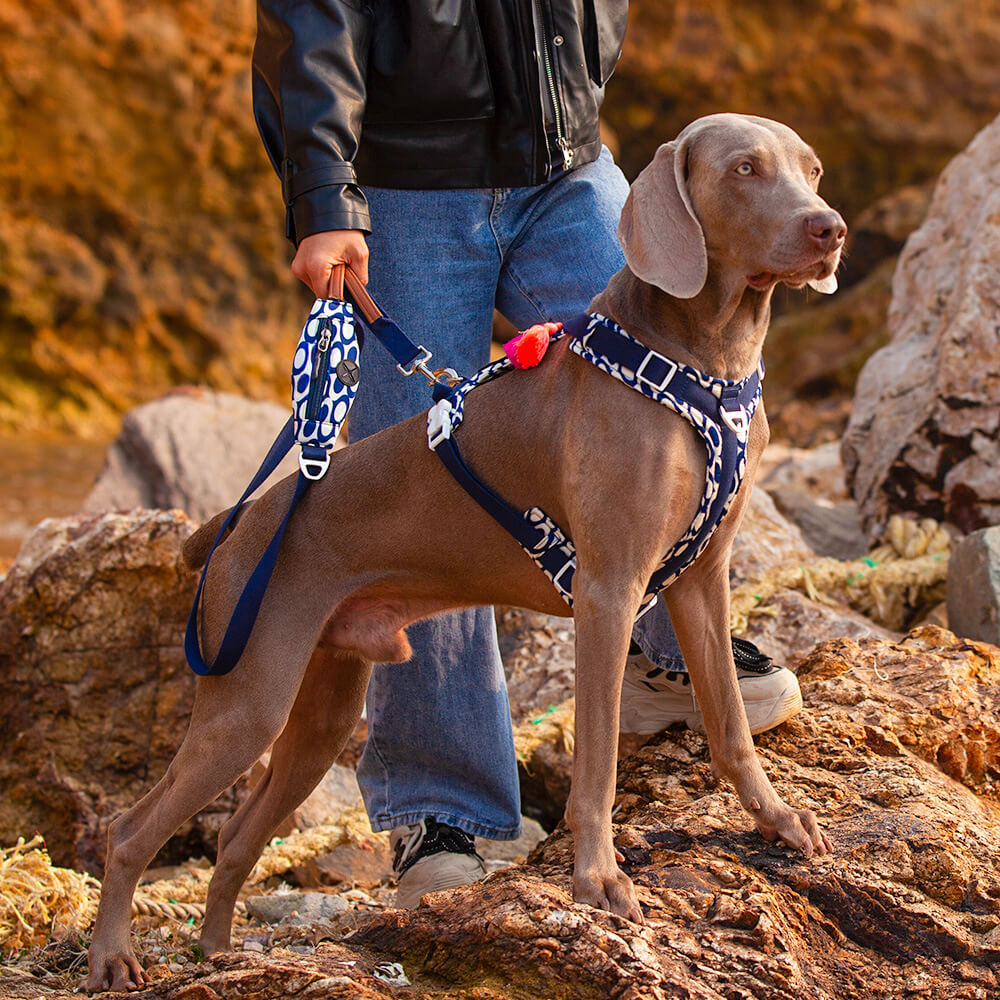 Secure Anti-Pull Large Dog Harness and Lead Walking Set with Walk Bag