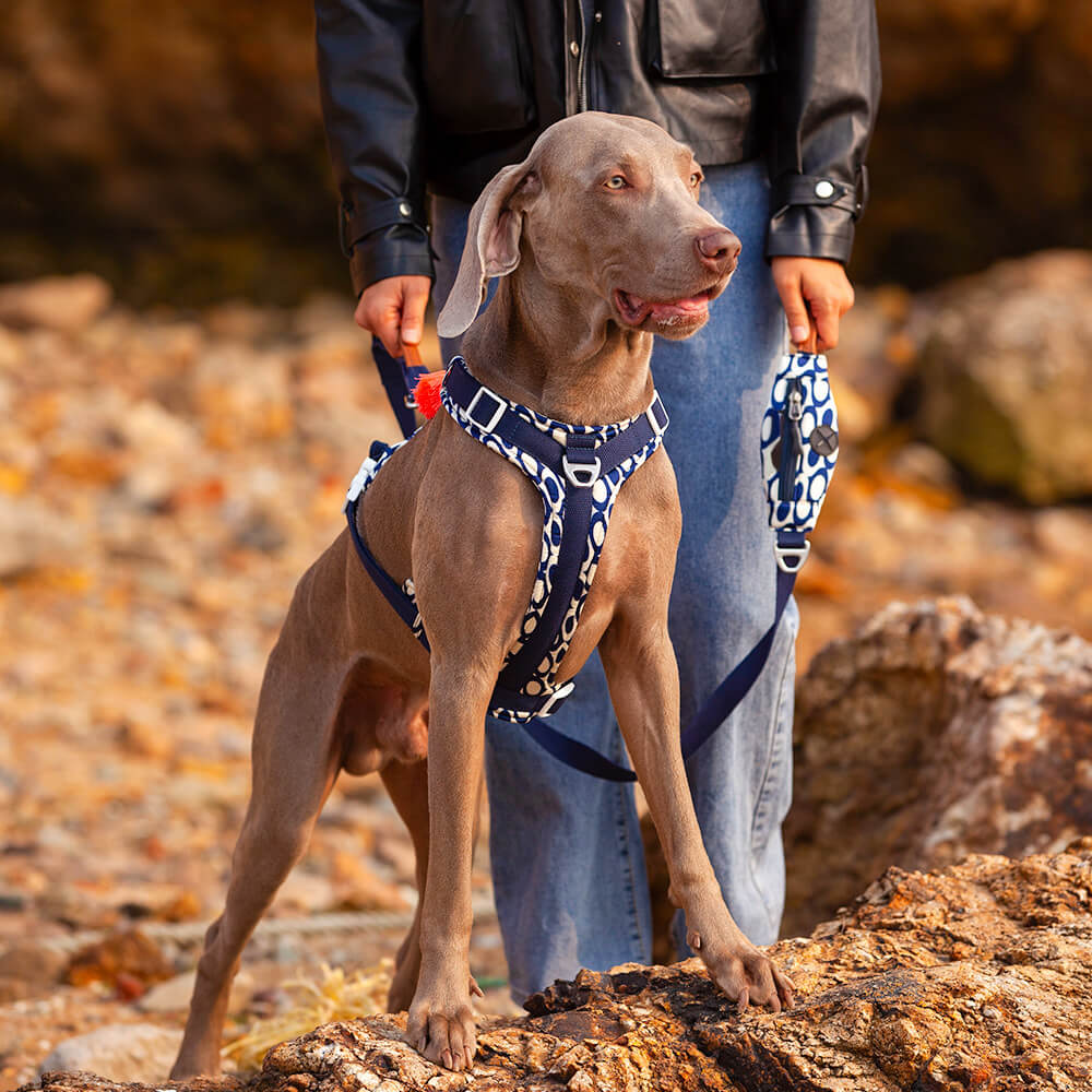 Secure Anti-Pull Large Dog Harness and Lead Walking Set with Walk Bag