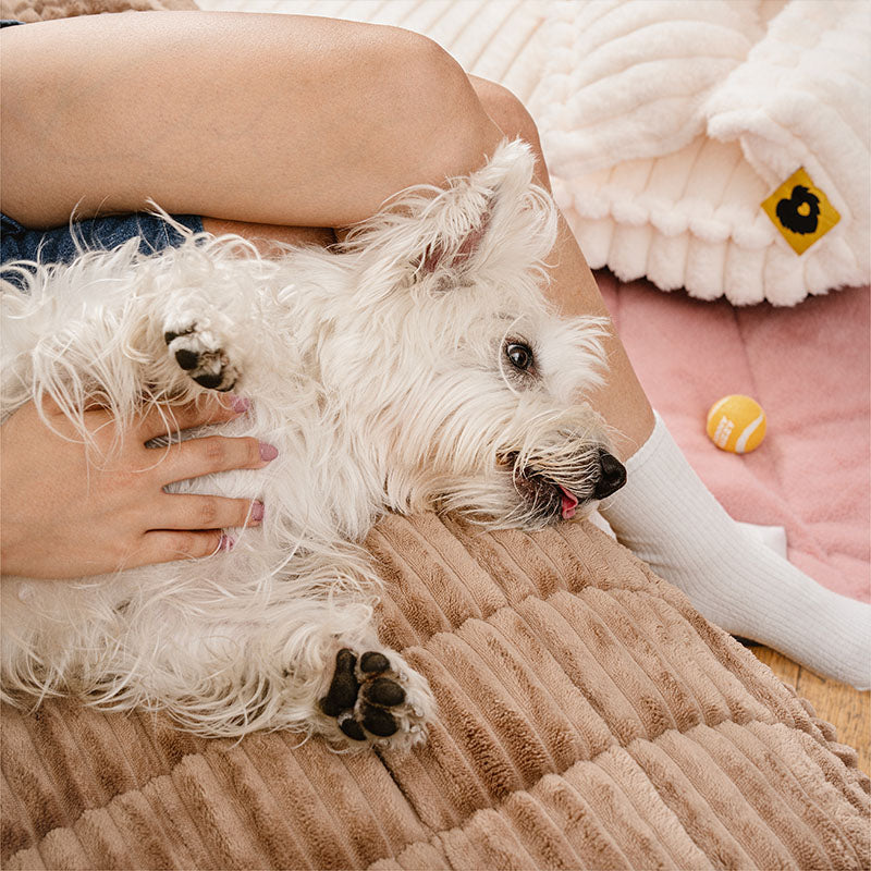 Make Waffle Biscuit Couch Cover – Cosy Soft Flannel & Breathable Pet Mat, Indulge in Tasty Comfort!