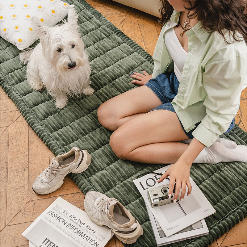 Make Waffle Biscuit Couch Cover – Cosy Soft Flannel & Breathable Pet Mat, Indulge in Tasty Comfort!
