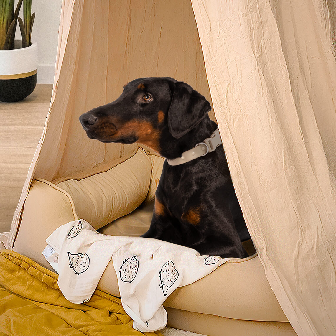 Stylish Soft Cosy Dog Tent Dog Teepee