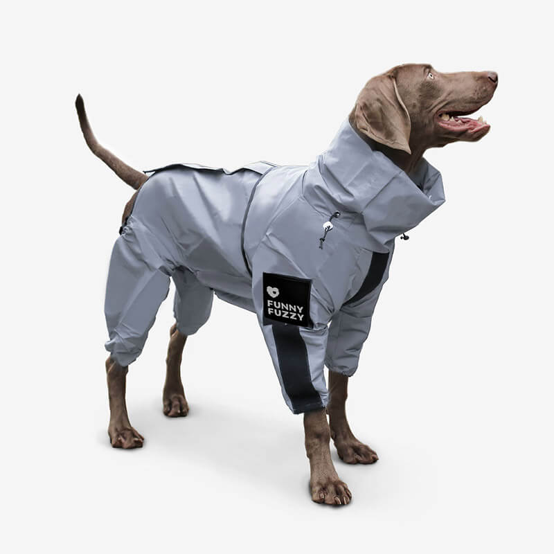 Pet Apparel