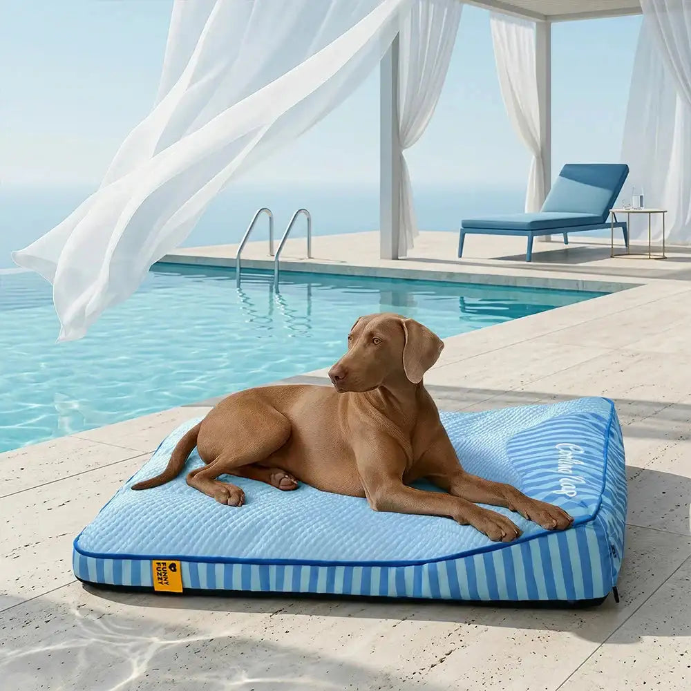 Large Washable Cooling Non-slip Outdoor Dog Mat - Cooling Nap
