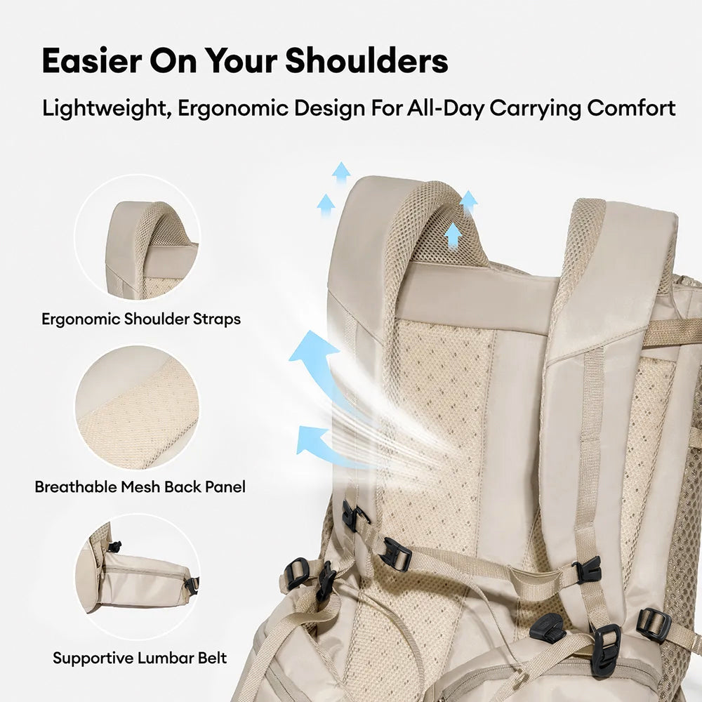 Dog Carrier Backpacks Dog Rucksack Dog Bike Carrier - Urban Roaming
