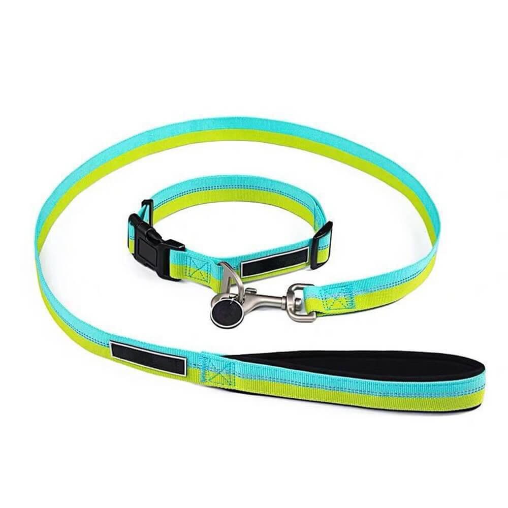 Colorful Dog Leash Collar - High Strength Nylon