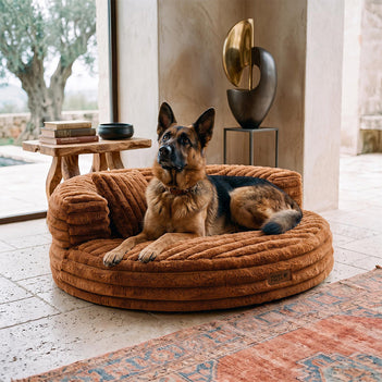 Ultra-Soft Ribbed Plush Removable Donut Orthopedic Dog Bed with Pillows - Cozy Nest