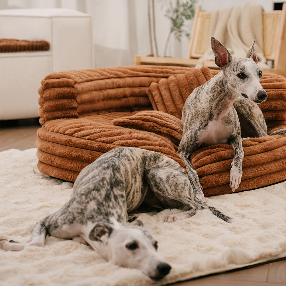 Ultra-Soft Ribbed Plush Removable Donut Orthopedic Dog Bed with Pillows - Cozy Nest