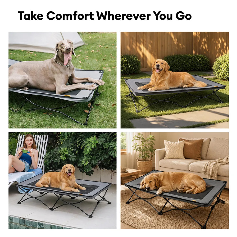 Foldable Elevated Dog Bed-Urban Roaming