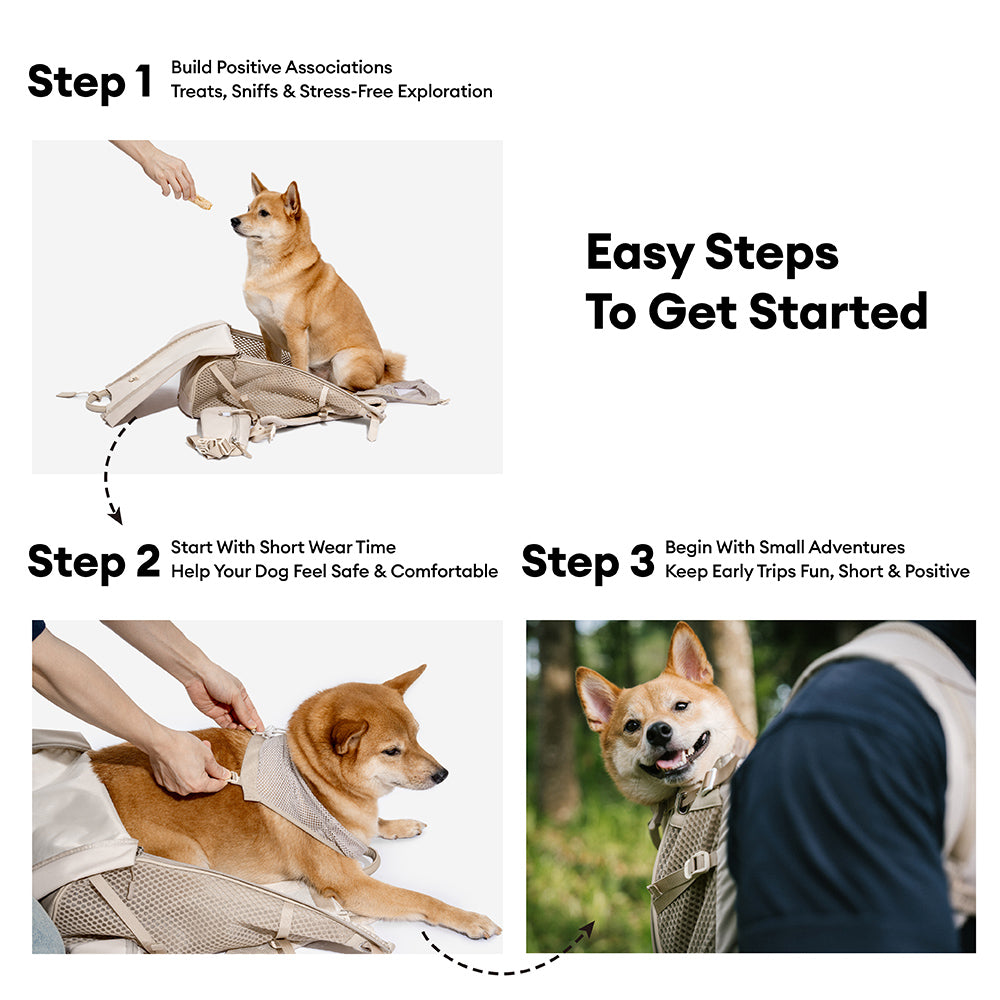 Dog Carrier Backpack-Urban Roaming