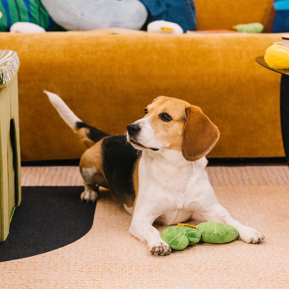 Plush Leaf-Shaped Squeaky Dog Toy - Funnyfuzzy SnugNest