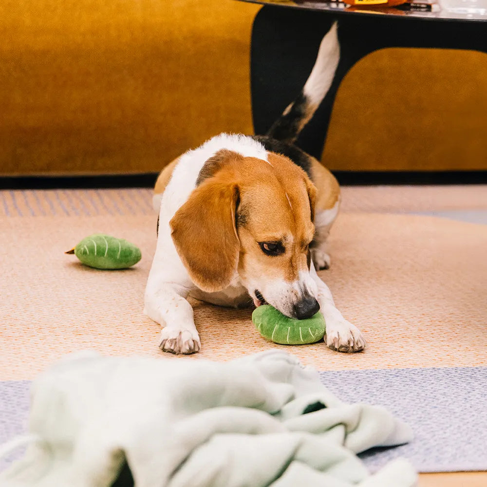 Plush Leaf-Shaped Squeaky Dog Toy - Funnyfuzzy SnugNest
