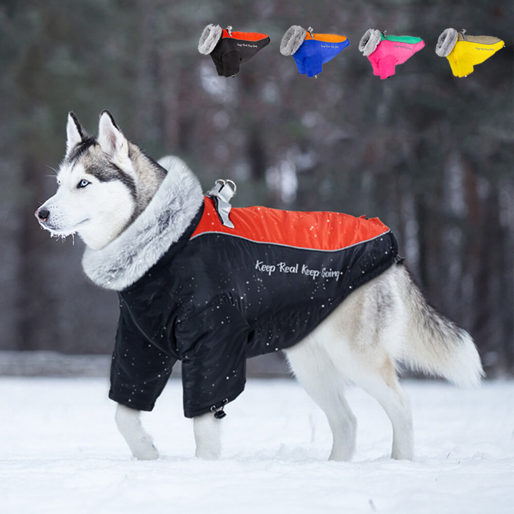 Waterproof Winter Dog Coat with Fur Collar - Ultimate Warmth and Style