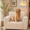 One-Piece Waterproof Pet-Friendly Ribbed Plush Recliner Couch Cover- Cozy Nest