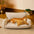 All-Season Chenille Dual-layer Removable Sponge Orthopedic Dog Bed With Pillow