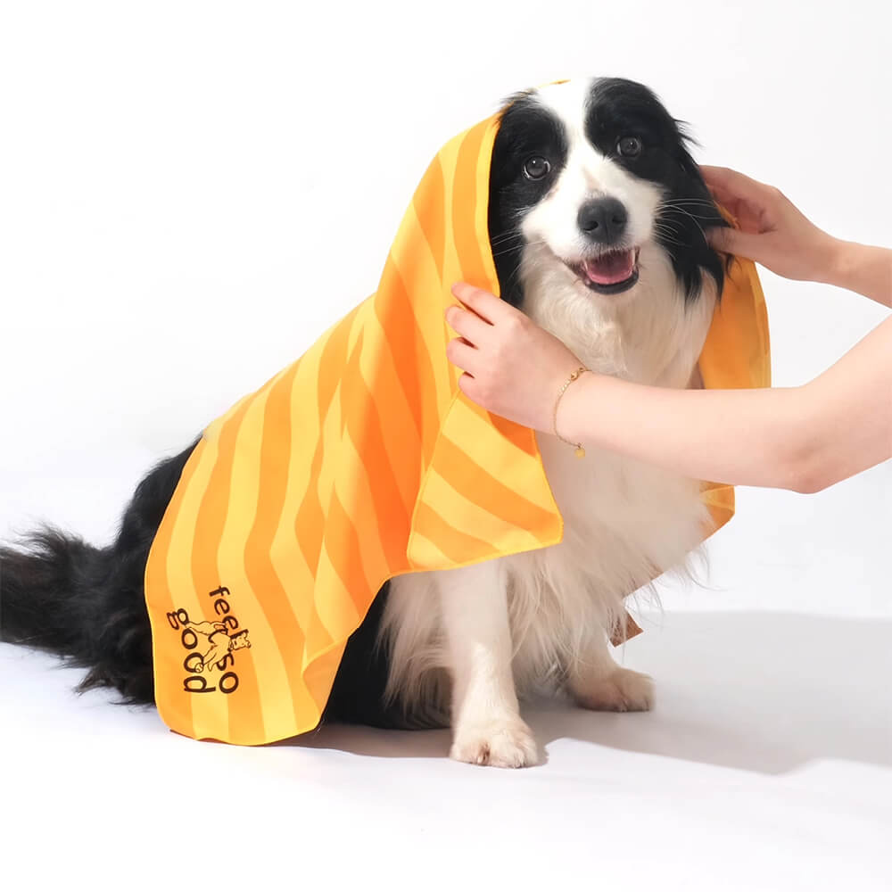 Ultra-Absorbent Lightweight Quick-Dry Travel Dog Towel Blanket