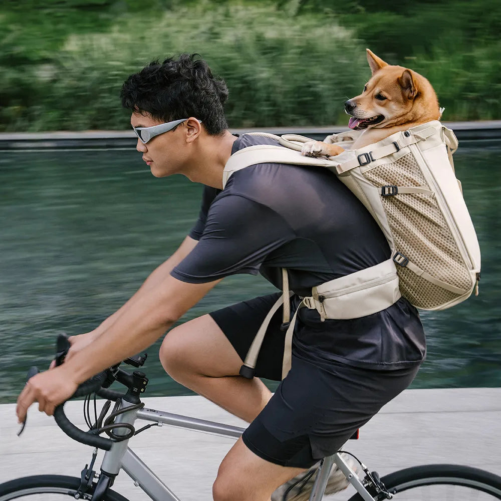 Dog Carrier Backpacks Dog Rucksack Dog Bike Carrier - Urban Roaming