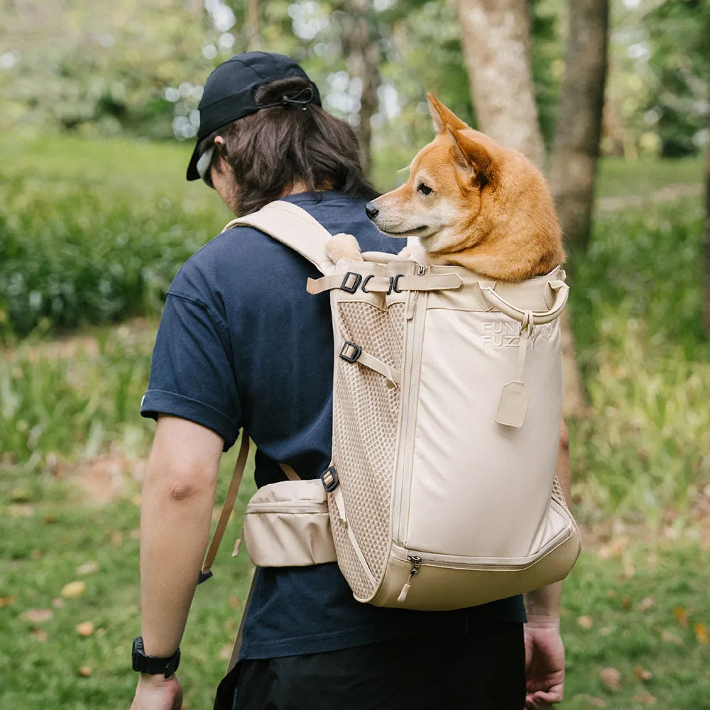 Dog Carrier Backpacks Dog Rucksack Dog Bike Carrier - Urban Roaming