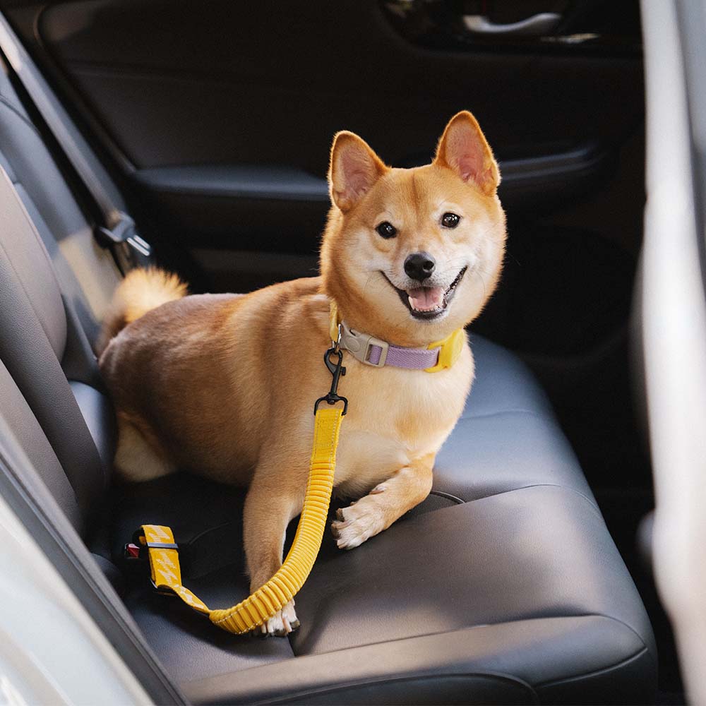 Buffer Adjustable Dog Car Seat Belt