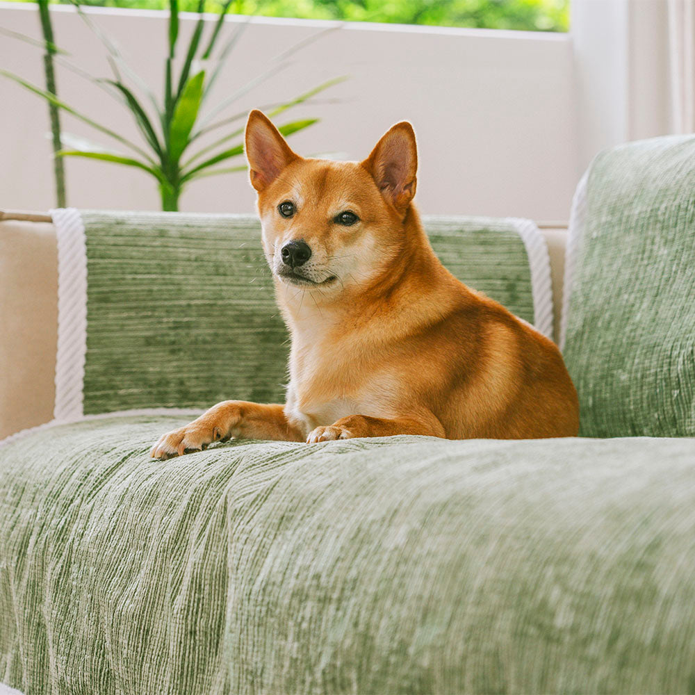 All-Season Anti-Slip Striped Pet Rug Furniture Protector with Armrest Outdoor Couch Cover - Keep Still