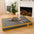 Hooman Innerspring Coils Orthopedic Human Dog Bed - Everdream