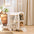 Double-Layer Spacious Multi-Cat Travel Rolling Pet Carrier Bag with Wheels