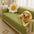 Waterproof Non-Slip Furniture Protector Pet Couch Cover-Slipsafe