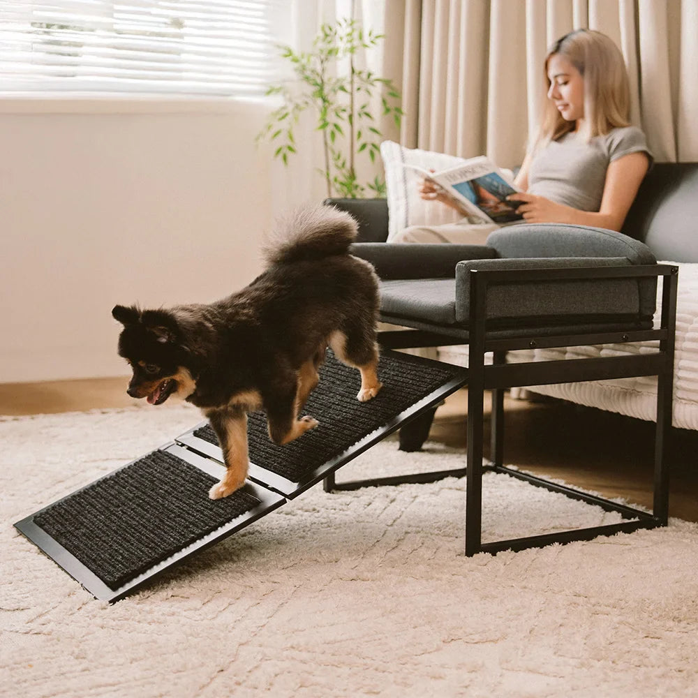 Elevated Pet Sofa Bed with Stairs Ramp for Bedside Lounge or Dog Window Perch - Pet-Friendly Bedroom