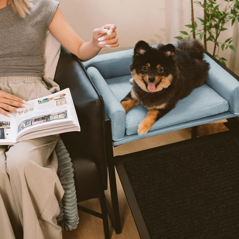 Elevated Pet Sofa Bed with Stairs Ramp for Bedside Lounge or Dog Window Perch - Pet-Friendly Bedroom
