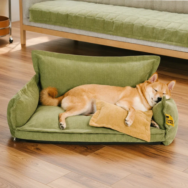 All-Season Chenille Dual-layer Removable Sponge Orthopedic Dog Bed With Pillow
