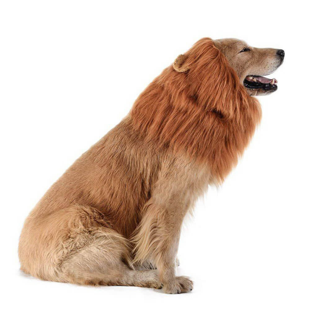 Lion Mane Dog Costume – Perfect for Halloween and Fun Occasions