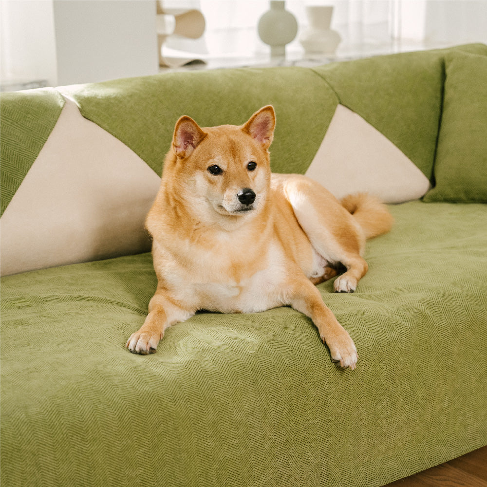 Herringbone Chenille Fabric Waterproof & Antifouling Couch Covers