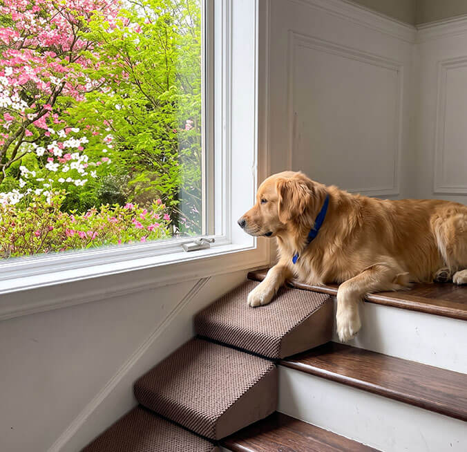 Step Into Spring Together