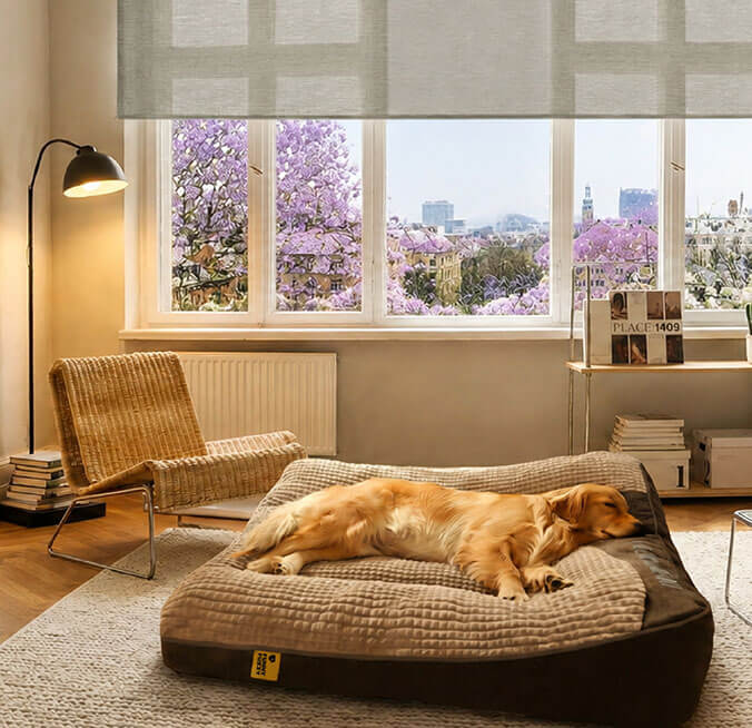 A Fresh Spring Space to Call Home