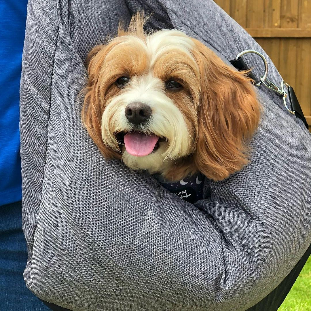 Travel Dog Car Seat Bed - Gym Bag