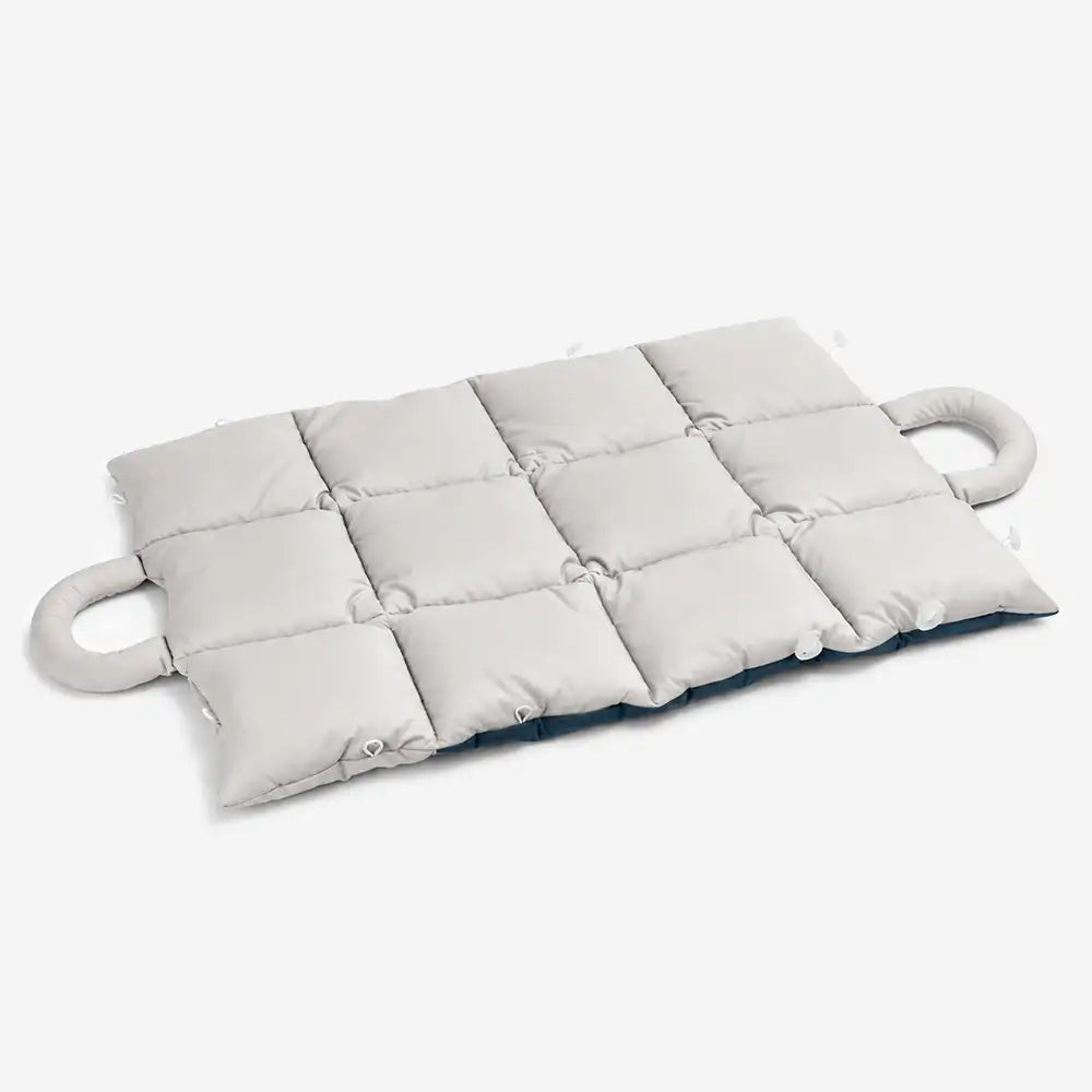 2 In 1 Multifunctional Water-Repellent Pet Mat Puppy Carrier Bag