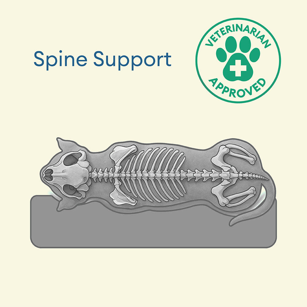 Fully Orthopedic Surround Support Waterproof Large Outdoor Dog Bed