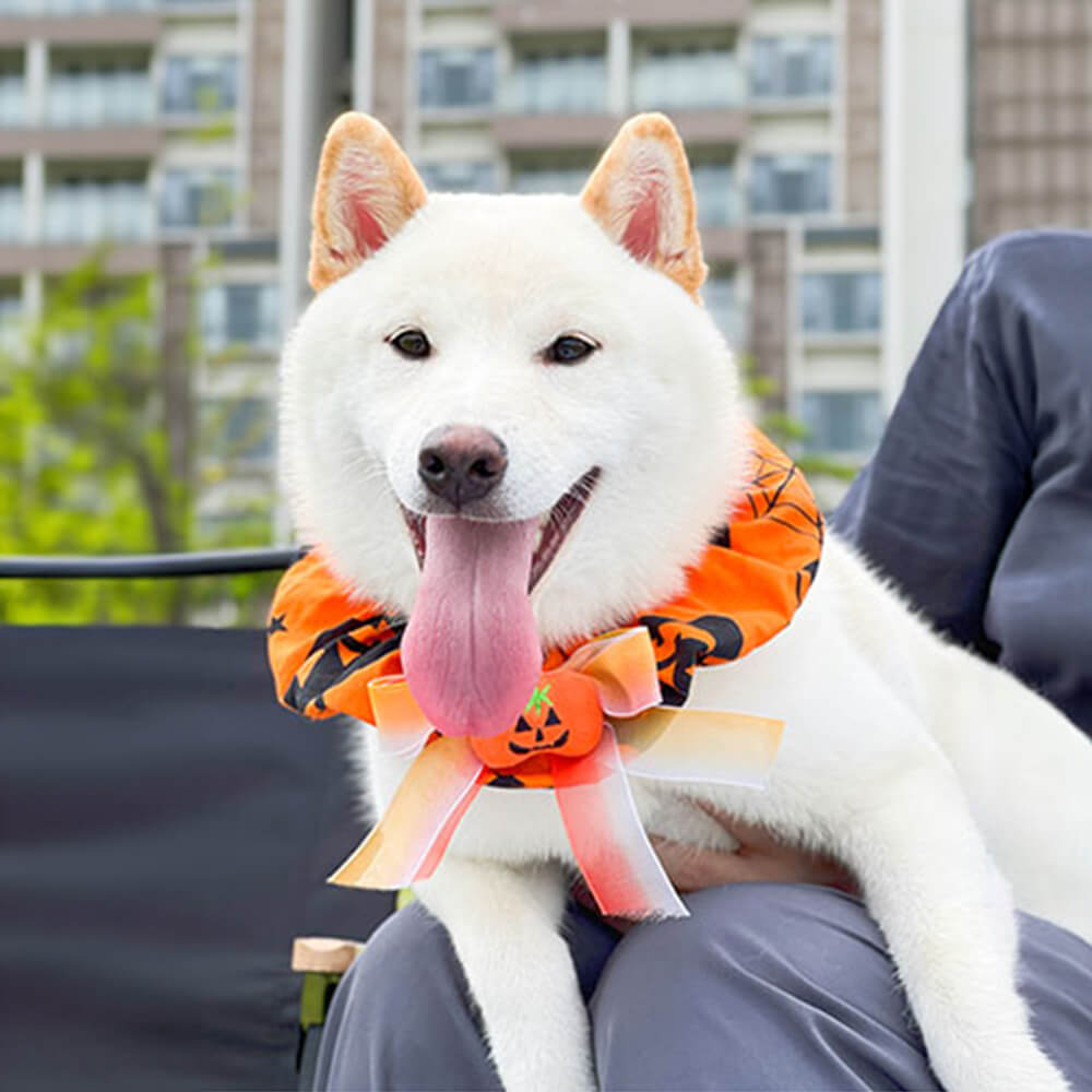 Cute Pumpkin Ruffled Halloween Dog Bandana Scarf