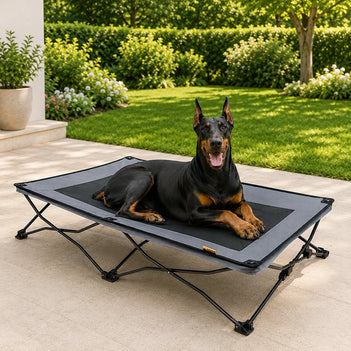 Foldable Elevated Dog Bed-Urban Roaming