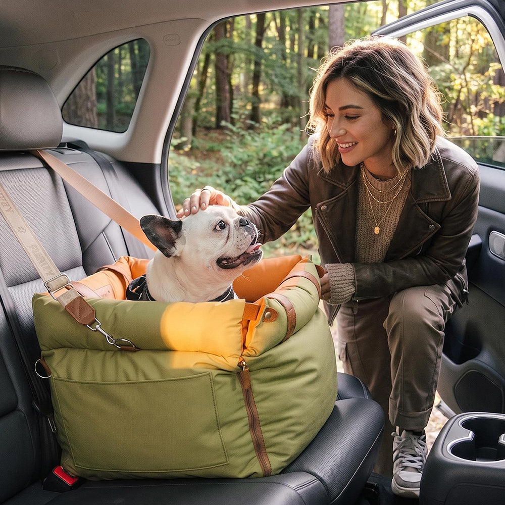 Car Trips