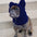 Fleece Dog Hood with Bear Ears – Fun and Cosy Winter Headwear