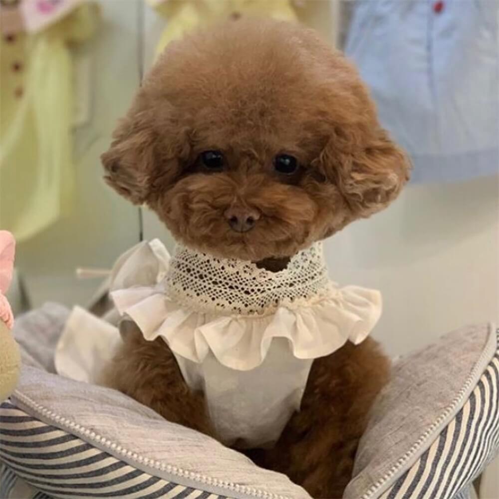 Elegant Lace Bow Dog Dress for Small to Medium Dogs – Perfect for Special Occasions!