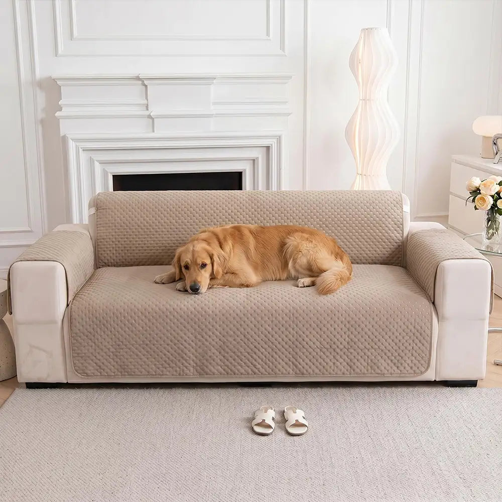 Water-Repellent Solid Color One Piece Couch Cover with Elastic Straps