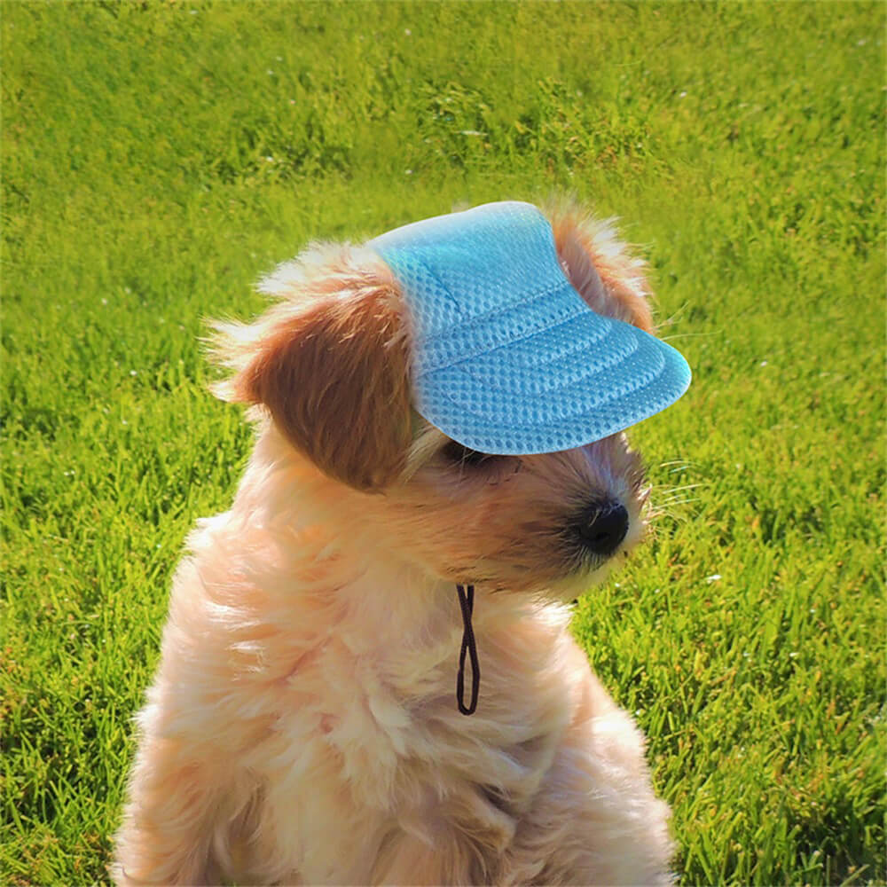 Adjustable Blue Dog Sun Hat - Stylish Protection for Your Pup