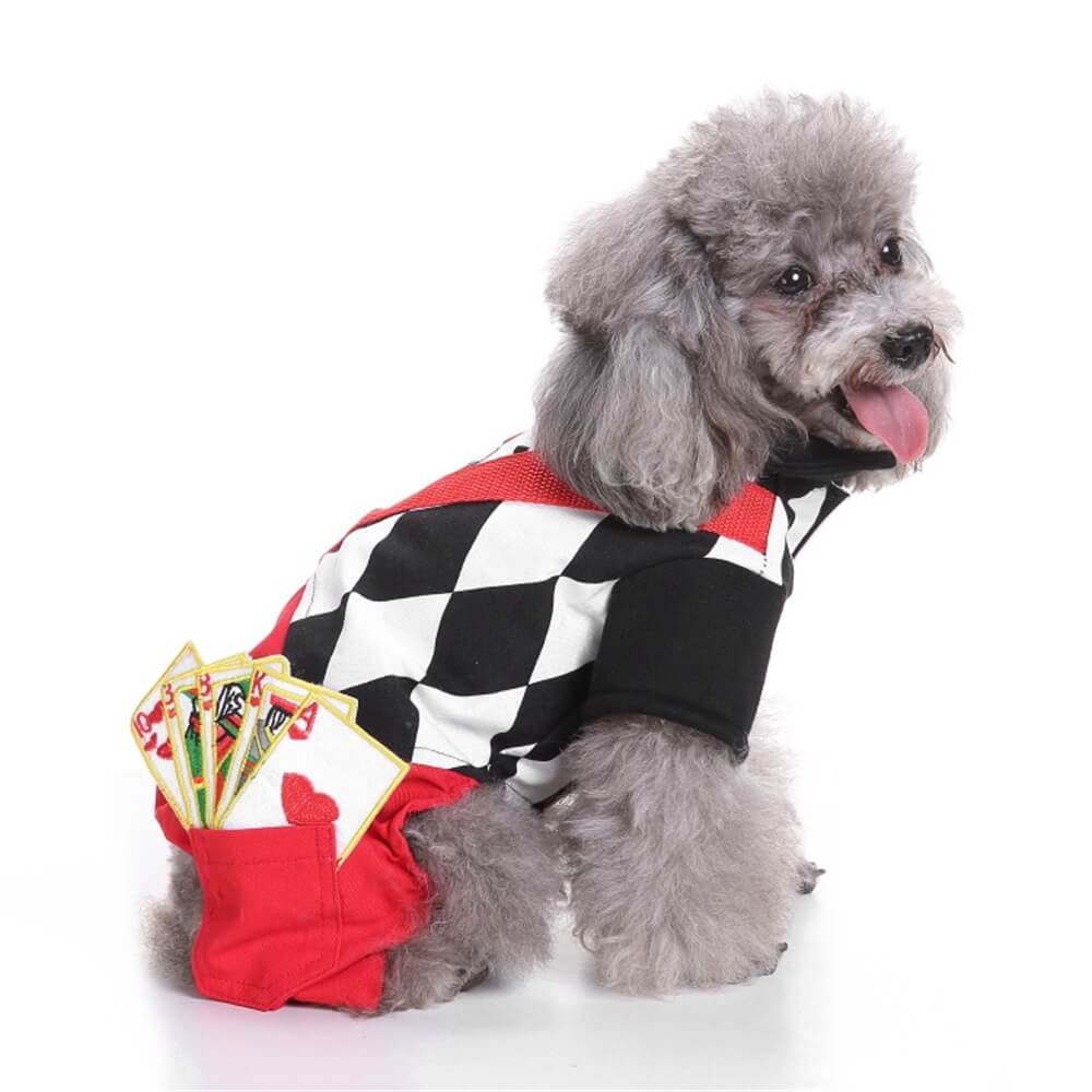 Knitted Striped Pumpkin Wizard Multi-Character Dog Costume